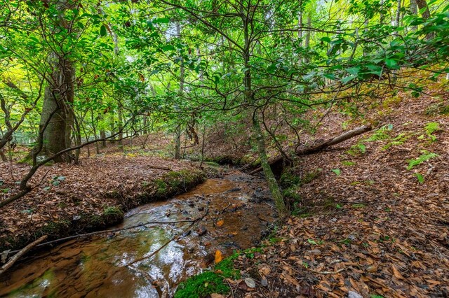 421 Weeks Creek Rd, Blue Ridge, GA 30513 - view of undeveloped land