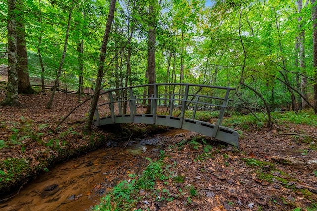 421 Weeks Creek Rd, Blue Ridge, GA 30513 - view of yard