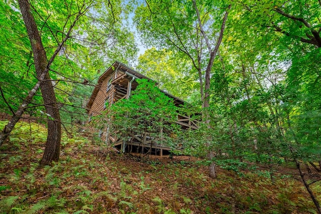 421 Weeks Creek Rd, Blue Ridge, GA 30513 - view of undeveloped land