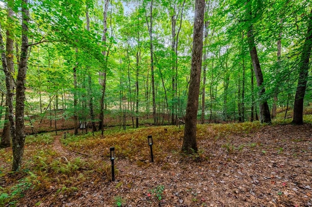 421 Weeks Creek Rd, Blue Ridge, GA 30513 - view of tree filled area