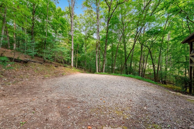 421 Weeks Creek Rd, Blue Ridge, GA 30513 - view of street featuring a view of trees