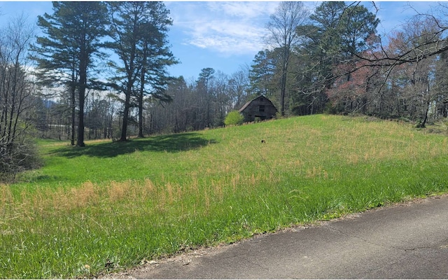 0 Ashe St, Blue Ridge GA, 30513 land for sale