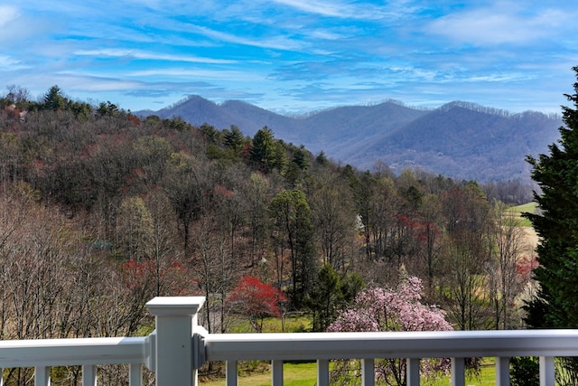 view of mountain feature