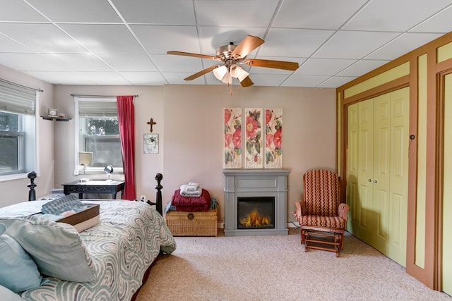 bedroom featuring a drop ceiling, a closet, ceiling fan, and light colored carpet