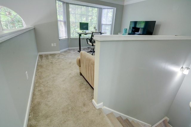 4149 Spring Cove Dr, Duluth, GA 30097 - office featuring light colored carpet, baseboards, and crown molding