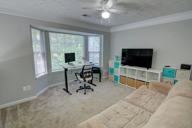 4149 Spring Cove Dr, Duluth, GA 30097 - office with crown molding, carpet, ceiling fan, baseboards, and a textured ceiling