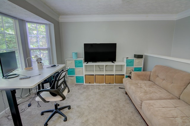 4149 Spring Cove Dr, Duluth, GA 30097 - carpeted office with ornamental molding