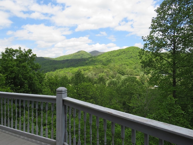905 Johnson Rd, Hiawassee, GA 30546 - mountain view with a forest