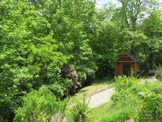 905 Johnson Rd, Hiawassee, GA 30546 - view of yard featuring a forest view