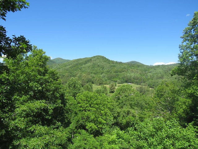 905 Johnson Rd, Hiawassee, GA 30546 - view of mountain backdrop with a forest