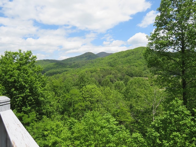 905 Johnson Rd, Hiawassee, GA 30546 - view of mountain backdrop featuring a heavily wooded area