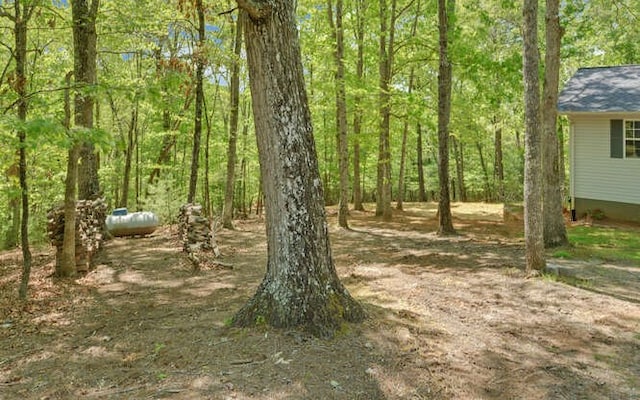 view of yard with a wooded view
