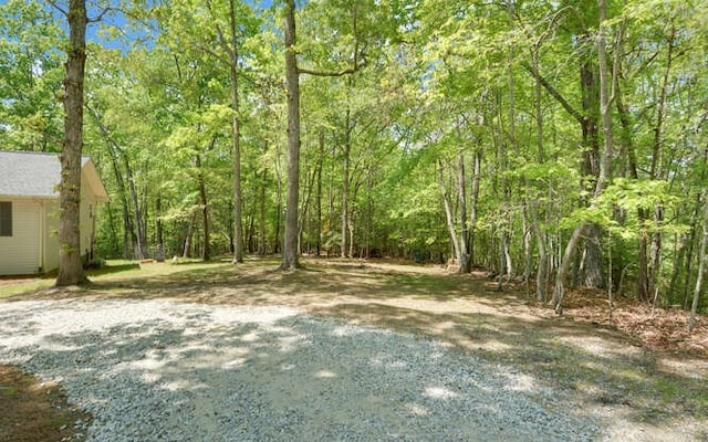 view of yard with a forest view