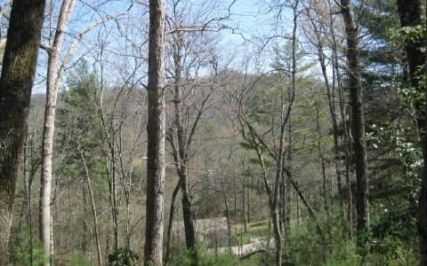 LOT12 Tusquittee Laurel Cv, Hayesville NC, 28904 land for sale