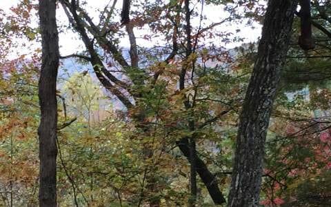 Listing photo 2 for LOT12 Tusquittee Laurel Cv, Hayesville NC 28904