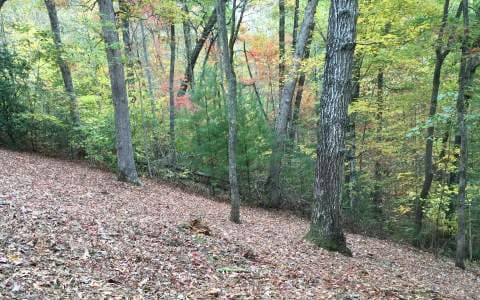 Listing photo 3 for LOT12 Tusquittee Laurel Cv, Hayesville NC 28904