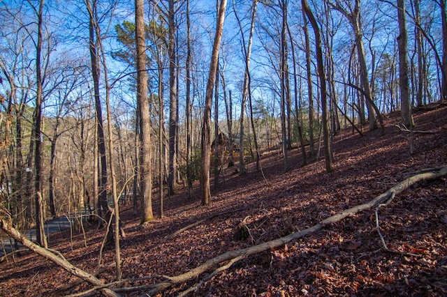 view of landscape