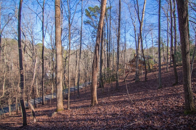 view of local wilderness