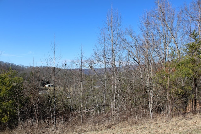 Listing photo 3 for 110CART SW Carter Cove Rd S, Hayesville NC 28904