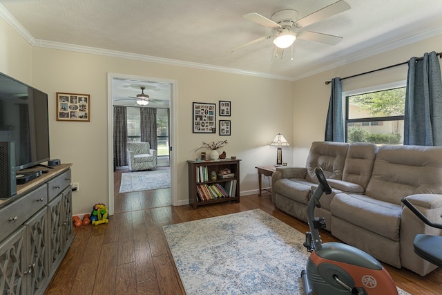 living room featuring dark hardwood / wood-style floors, ceiling fan, ornamental molding, and a textured ceiling