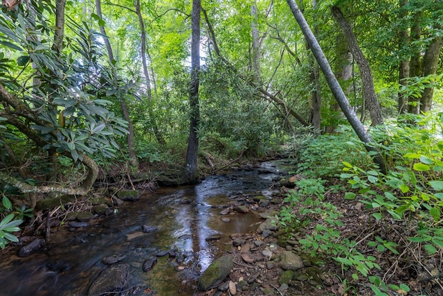 view of nature featuring a water view