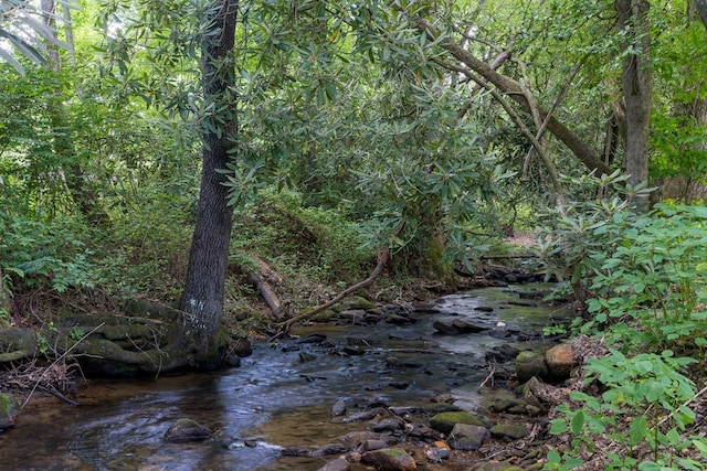 view of local wilderness with a water view