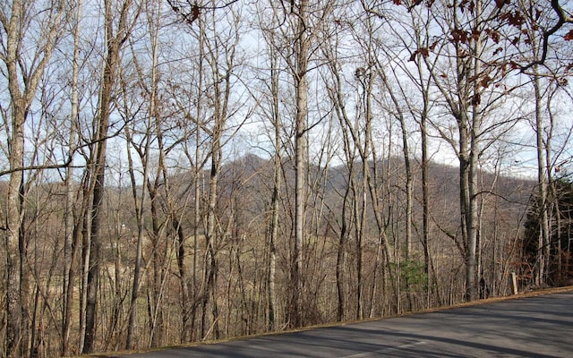 Listing photo 2 for 28A Mountain Harbour Dr, Hayesville NC 28904