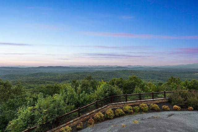 view of mountain feature featuring a wooded view