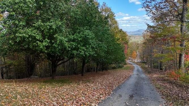 LOT8 Mull Ln, Morganton GA, 30560 land for sale