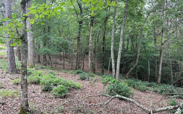 Listing photo 2 for LOT22 Cricket Ln, Brasstown NC 28909