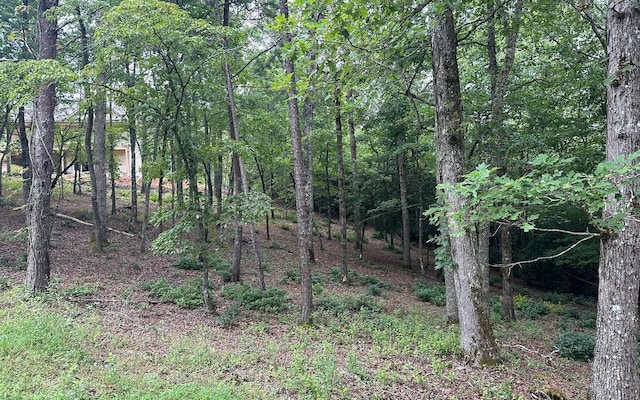 Listing photo 3 for LOT22 Cricket Ln, Brasstown NC 28909