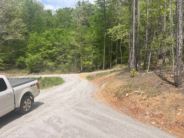 60 Lazy Creek Ln, Murphy, NC 28906 - view of dirt / gravel road featuring a view of trees