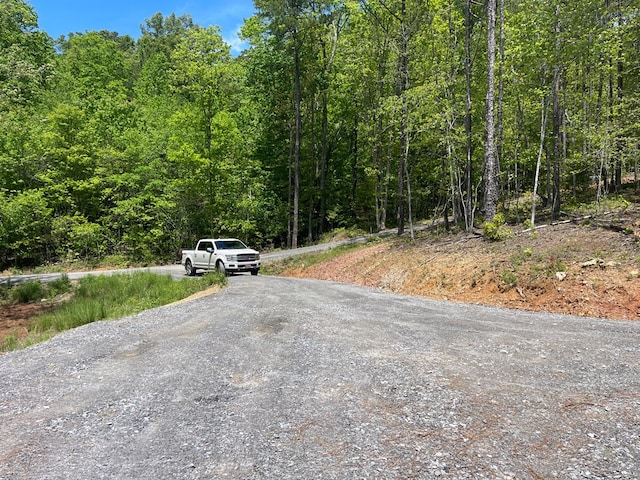 60 Lazy Creek Ln, Murphy, NC 28906 - view of dirt / gravel road with a view of trees