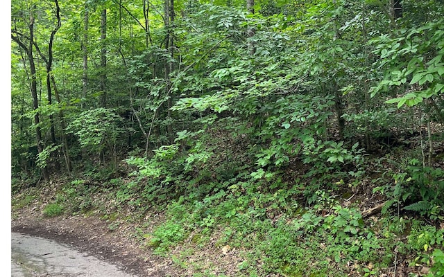 LOT12 Kilpatrick Point Ter, Hayesville NC, 28904 land for sale