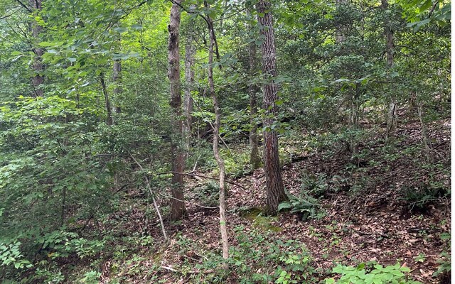 Listing photo 3 for LOT12 Kilpatrick Point Ter, Hayesville NC 28904