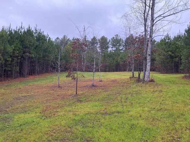 view of yard featuring a wooded view