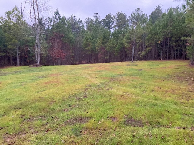 view of yard with a view of trees