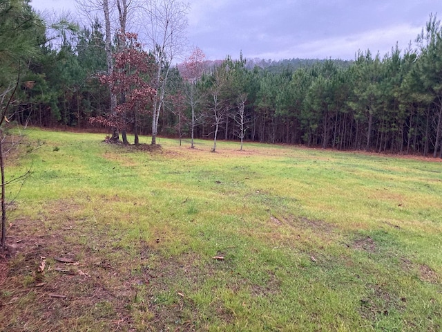 view of yard featuring a view of trees