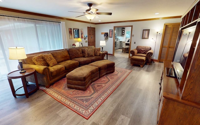 living room featuring hardwood / wood-style flooring, ornamental molding, and ceiling fan