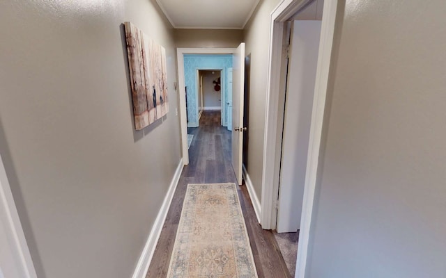 hall with dark wood-type flooring and crown molding