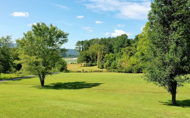 surrounding community featuring a yard