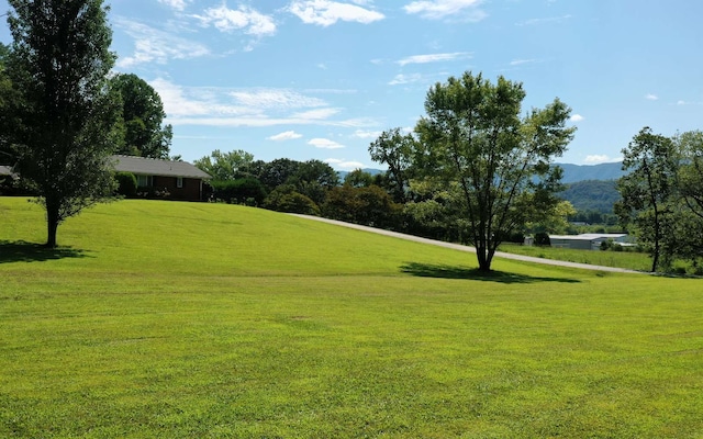 view of community featuring a yard