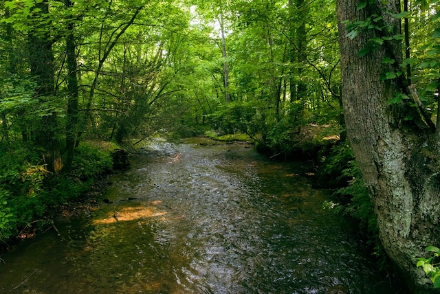 view of local wilderness