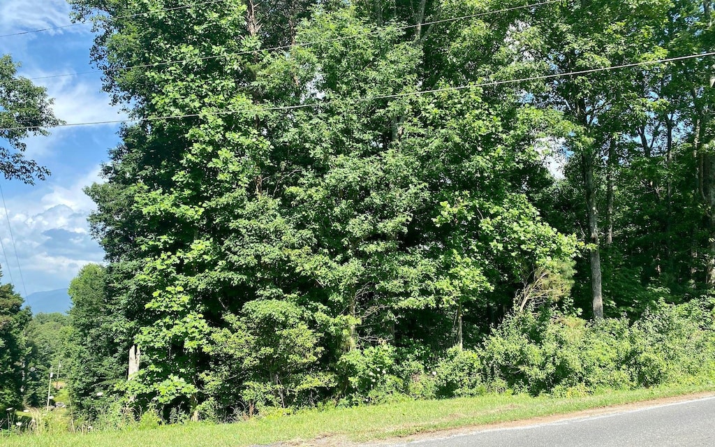 0 Flat Branch Rd, Ellijay, GA 30540