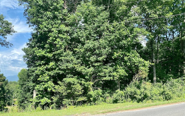 0 Flat Branch Rd, Ellijay, GA 30540