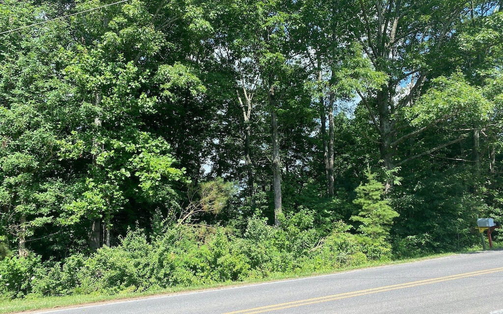 0 Flat Branch Rd, Ellijay, GA 30540