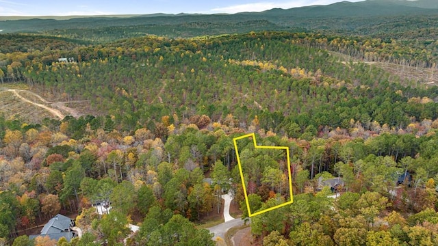 LOT65 Bridge Rd, Ellijay, GA 30540