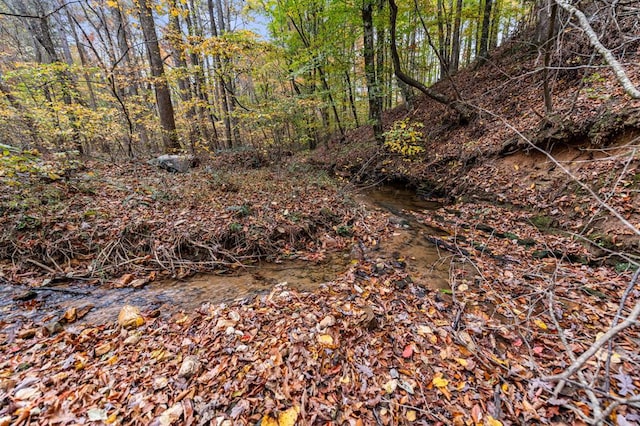 LOT65 Bridge Rd, Ellijay, GA 30540