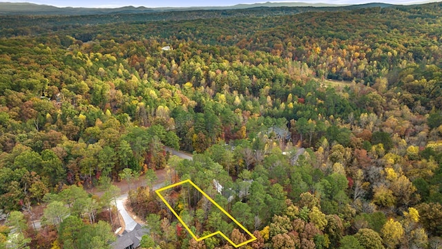 LOT65 Bridge Rd, Ellijay, GA 30540