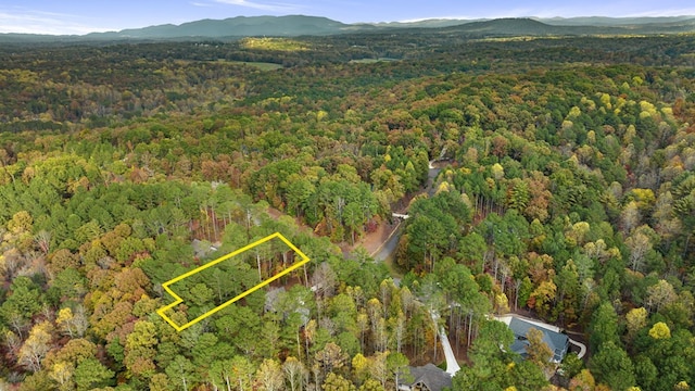 LOT65 Bridge Rd, Ellijay, GA 30540